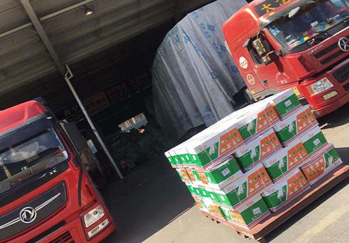 Kenyalı Müşterilerin Sipariş Verdiği Ppr Ürünleri Sevk Ediliyor